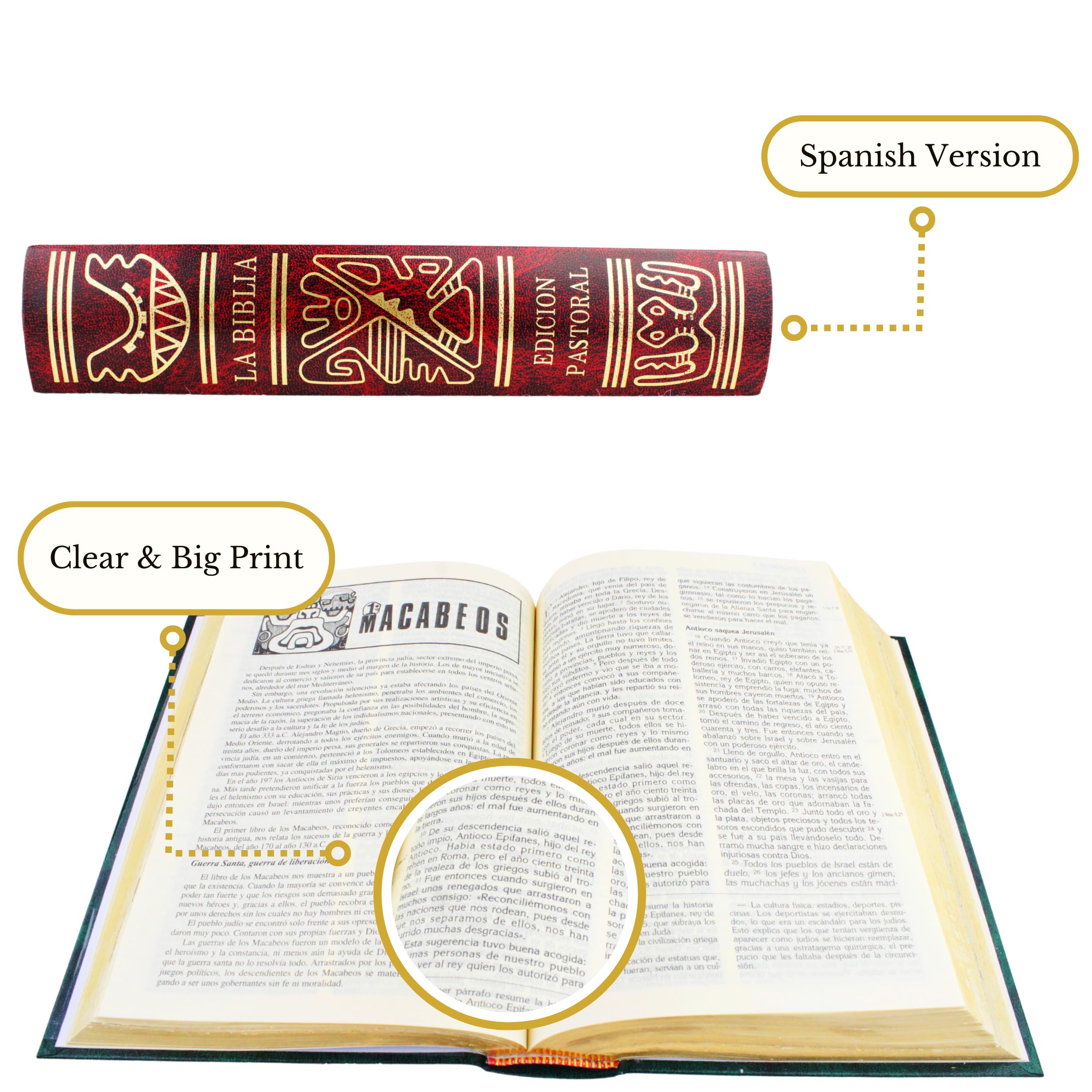 la Biblia latinoamericana letra grande - Biblia latinoamericana catolica - Biblia catolica en español letra grande - bib